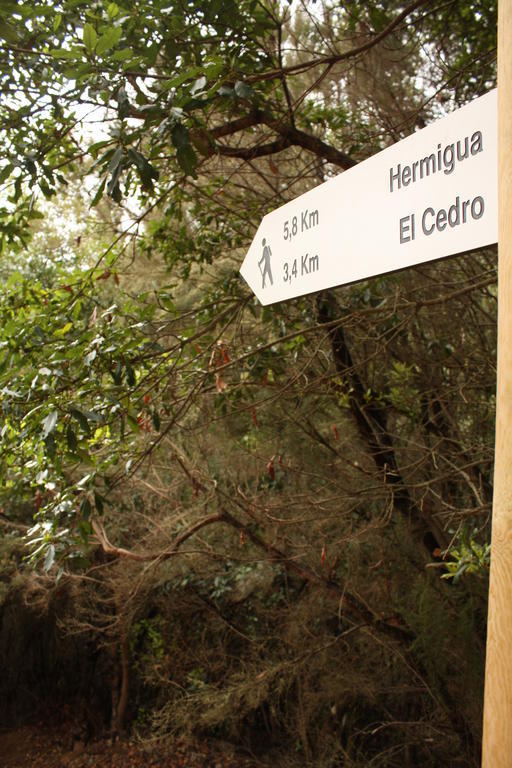 Casa Rural El Rincon De Antonia Agulo Luaran gambar