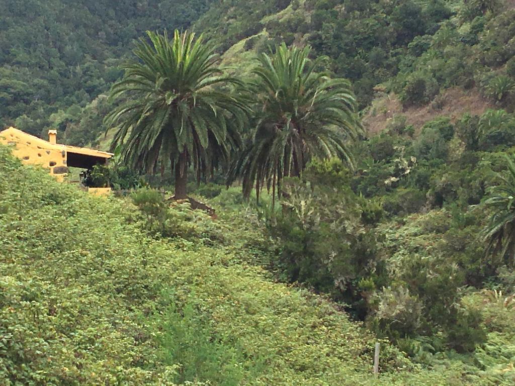 Casa Rural El Rincon De Antonia Agulo Luaran gambar