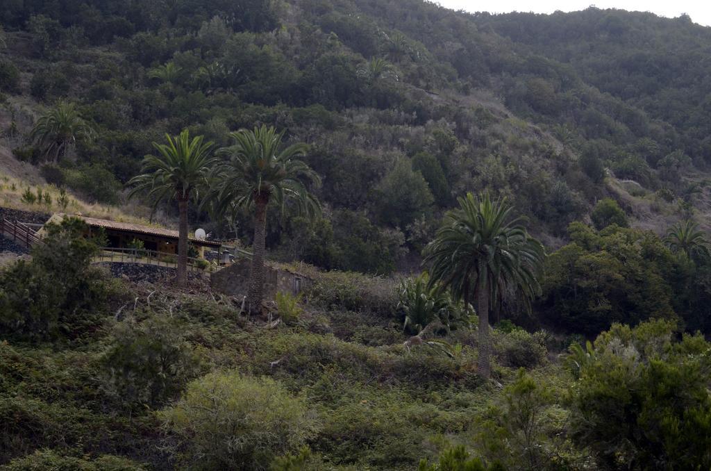 Casa Rural El Rincon De Antonia Agulo Luaran gambar